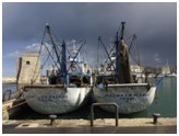 Trani