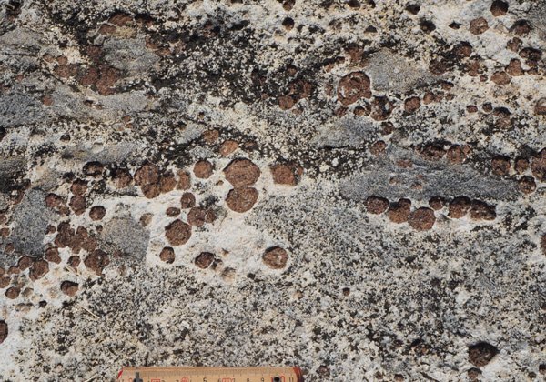 Rocce metamorfiche in affioramento